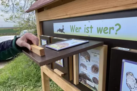 Mit viel Liebe zum Detail wurde in Gerolsheim ein Lehrpfad bestückt. Vielleicht kann die Gemeinde damit beim Dorfwettbewerb punk