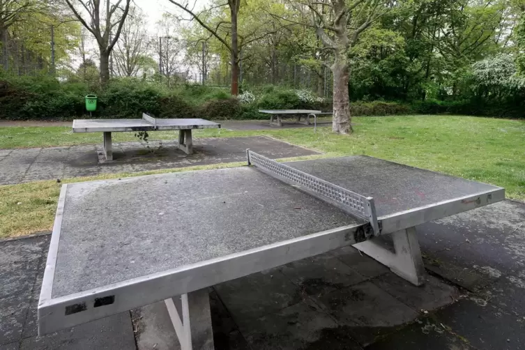  Sollen einem Bauprojekt weichen: die Bäume und der von diesen umsäumte ehemalige Bolzplatz am Pommernring.