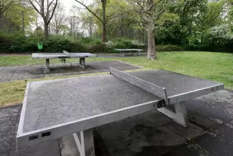  Sollen einem Bauprojekt weichen: die Bäume und der von diesen umsäumte ehemalige Bolzplatz am Pommernring.