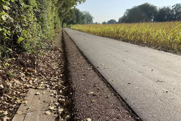 Der neue Radweg nach Landau zwischen Acker und Birnbach. 