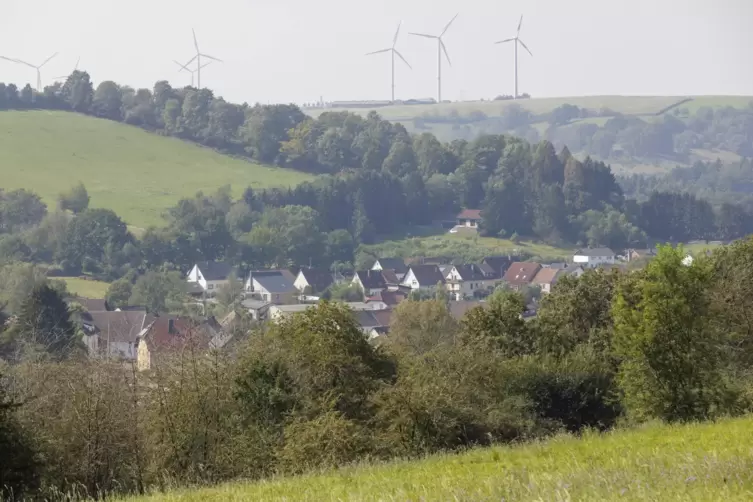 Eine Besonderheit Langwiedens ist die den Ort umgebende Windschutzhecke.