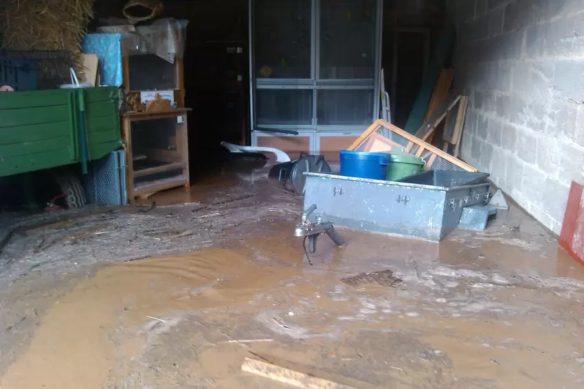 Bei Familie Schläfer in Katzenbach stand der Gewölbekeller komplett unter Wasser. Tanja Schläfer berichtet: Diese Bilder habe ic