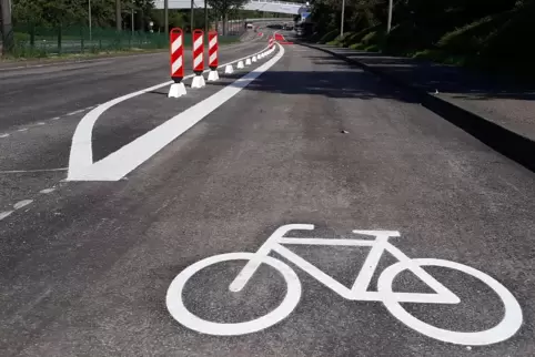 An viel und schnell befahrenen Straßen wünschen sich Radfahrer separate Wege. Zwischen Kleinniedesheim und Heuchelheim soll eine