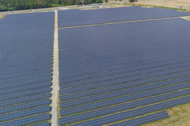 Solarpark der BASF in Schwarzheide.