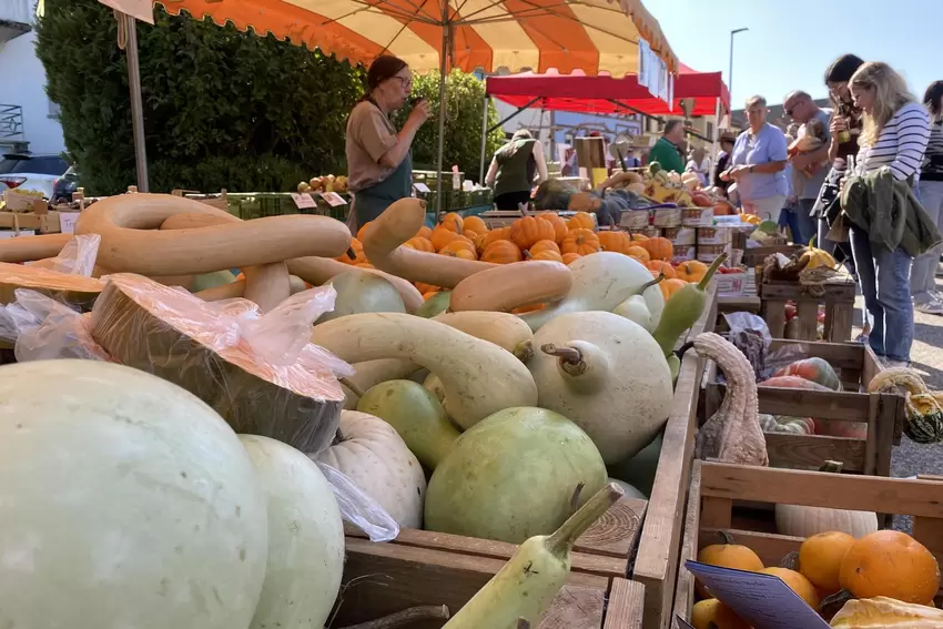 Was darf auf einem Bauernmarkt nicht fehlen? Natürlich eine bunte Palette an landwirtschaftlichen Erzeugnissen. Klar, dass es am