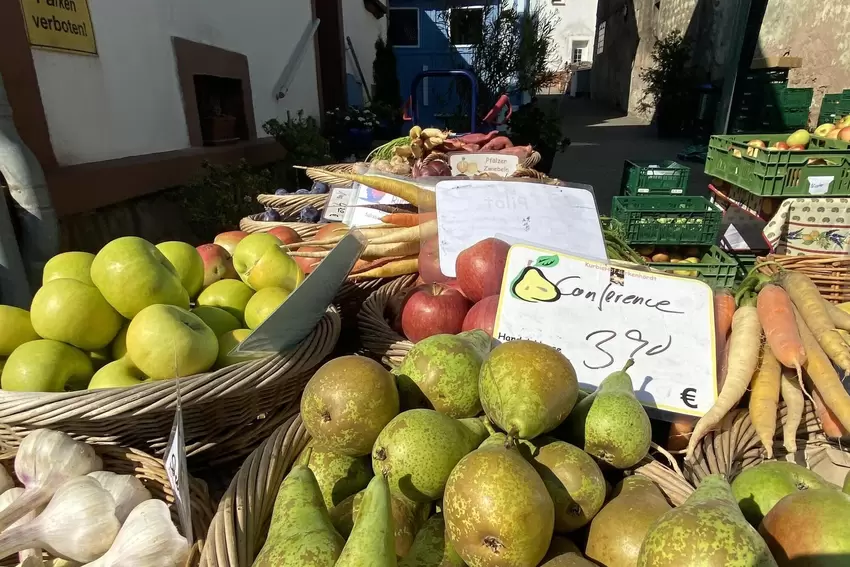 Vitaminbomben gab’s am Wochenende ebenfalls zu kaufen.