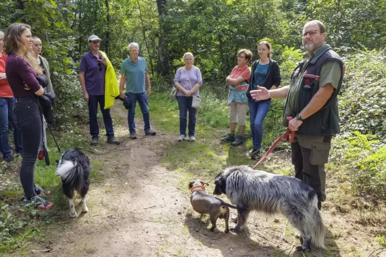 Bei einer Rundtour durch den Stadtwald erklärt Förster Jens Heinz, woran die Folgen des Klimawandels deutlich werden.