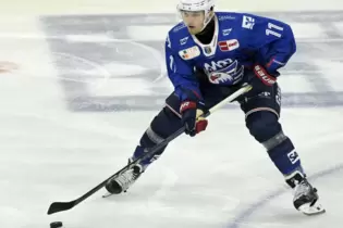 Begeistert von der Stimmung in Mannheim: Adler-Zugang Kristian Reichel.