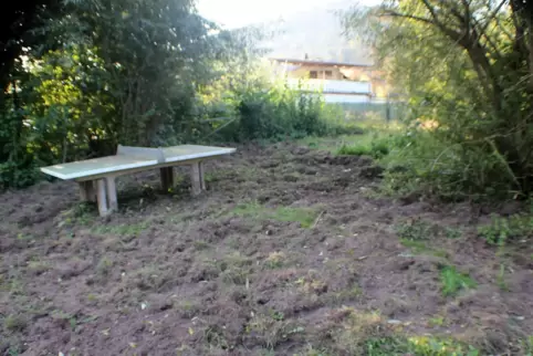 Rund um die Tischtennisplatte auf dem Spielplatz ist alles aufgewühlt.