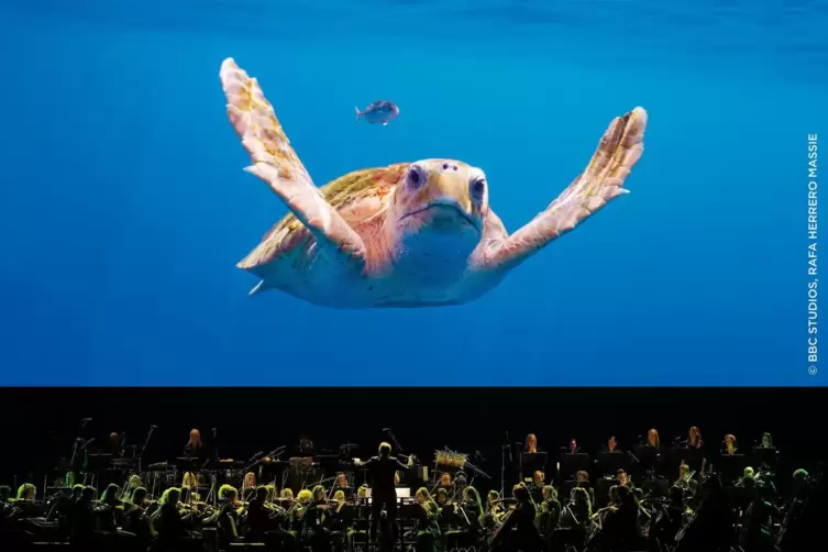 Begleitet vom Philharmonischen Orchester der Stadt Prag entführte die Show in die entlegensten Winkel der Erde.