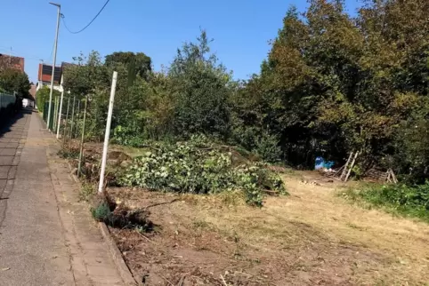 Erwachsene Vereinsmitglieder sowie Jugendliche befreiten den Spielplatz von Wildwuchs. 