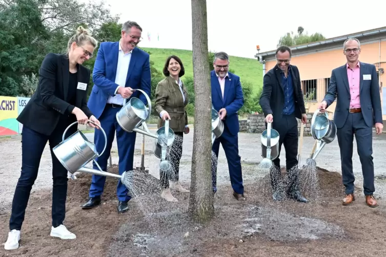 Zum Baustart wurde symbolisch eine Zerreiche gepflanzt.