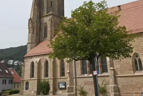 Die Schlosskirche wurde im vergangenen Jahr nach ihrer rund einjährigen Sanierung wieder in Dienst gestellt. 