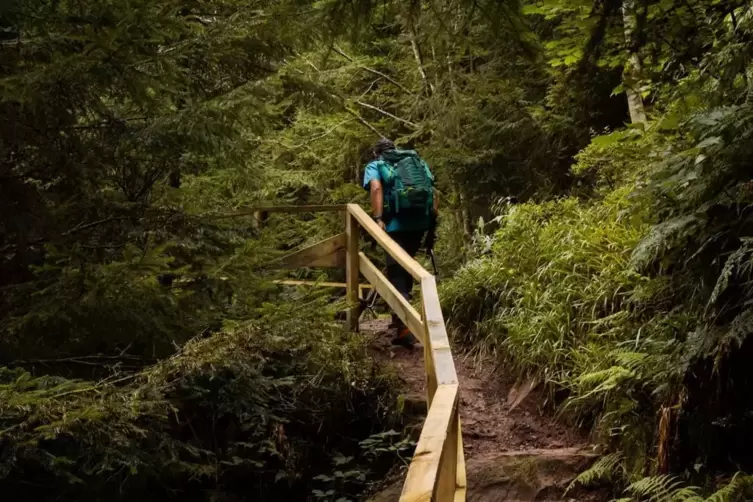 Der Teufelskanzelsteig ist eine Premiumtour im Schwarzwald. 