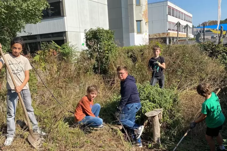 Die Schulgarten-AG bei der Arbeit. 