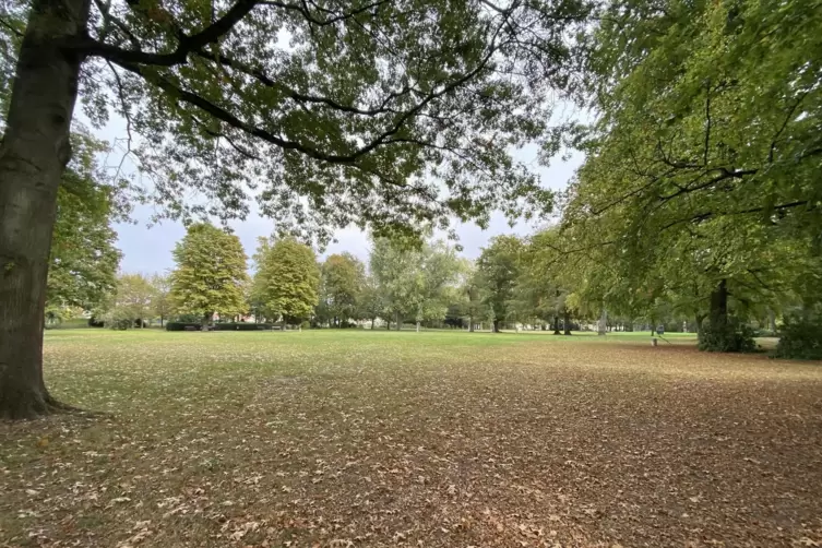 Von 11 bis 20 Uhr findet am Sonntag im Bürgerpark das Fest der Kulturen statt.