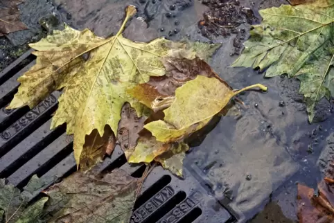 In den kommenden Tagen sollte der Regenschirm immer griffbereit sein. Erst am Sonntag wird es wieder freundlich.