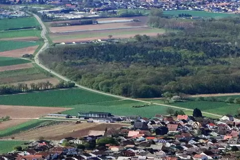 Verläuft zwischen Harthausen (unterer Bildrand) und Schwegenheim: die Landesstraße 537. 