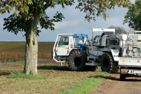 Rüttelfahrzeuge wie hier im Oktober 2022 im südpfälzischen Rohrbach sollen auch bald auf Lambsheimer Gemarkung unterwegs sein.