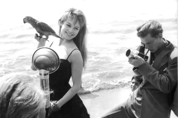 Brigitte Bardot 1956 bei den Filmfestspielen von Cannes. 