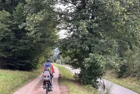 Radtour unter Kastanienbäumen. Auch außerhalb der Keschdezeit lohnt sich der familienfreundliche Ausflug. 