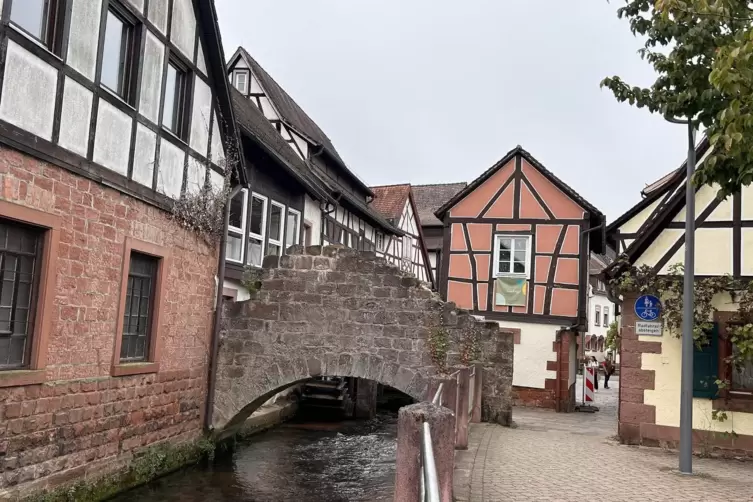 Zwischenstopp in Annweiler. Die Radtour durchs Trifelsland führt ein Stück an der Queich entlang. 