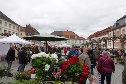 Auf zum Cittaslow-Markt und zum Verkaufsoffenen am Sonntag in Blieskastel. Unser Foto entstand beim Gartenmarkt voriges Jahr. 