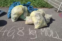 World Cleanup Day: Die beiden sechsten Klassen haben knapp 47 Kilogramm Müll gesammelt. 