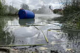 Still ruht der See: Am Morgen des 12. September dümpeln tote Fische am Ufer des Russenweihers, während im Hintergrund Feuerwehr