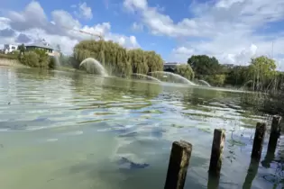 Wasser marsch: Belüftungsaktion am Russenweiher.