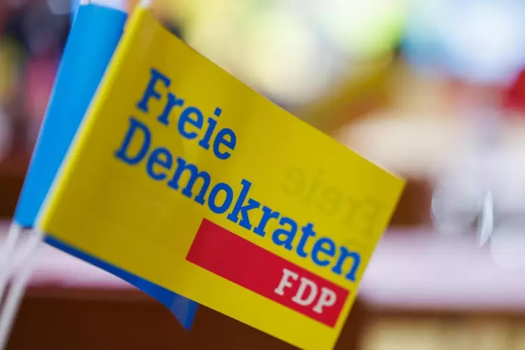 Ziel der neuen FDP-Vorsitzenden Nicole Lichtnecker ist es, neue und junge Mitglieder zu gewinnen.