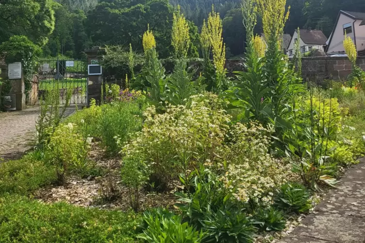 Jahreszeitlich wechselnd bepflanzt: Beet beim Friedhof.