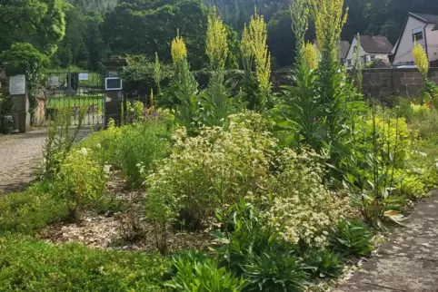 Jahreszeitlich wechselnd bepflanzt: Beet beim Friedhof.