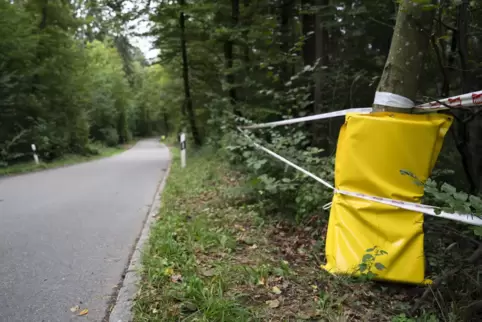 Die mutmassliche Unfallstelle der Schweizerin Muriel Furrer in der Abfahrt hinunter nach Küssnacht. 