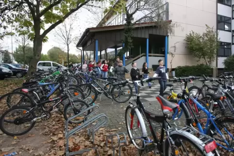 Schulbuchausleihe und Kreismedienzentrum befinden sich nun in der ehemaligen Bellheimer Hauptschule. 