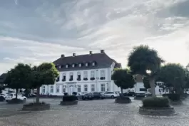 Seit Mitte Juli bleibt den Dirmsteinern und Besuchern des Orts dieser Anblick auf das Sturmfeder’sche Schloss aufgrund eines Ger