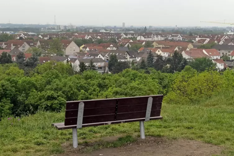 Blick vom Michaelsberg