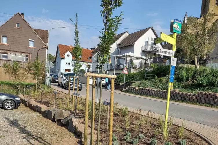 Am Mehrgenerationenhaus in Olsbrücken wurden insektenfreundliche Gehölze gepflanzt. 