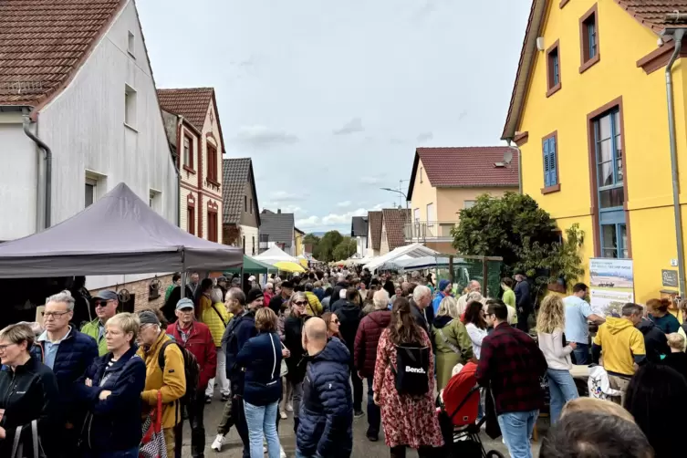 Gut besuchte Einkaufsmeile: Der Bauernmarkt in Schneckenhausen kommt bei den Leuten an. 