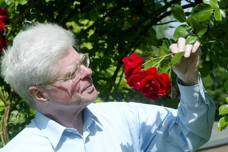 Zeit seines Lebens ein Freund der Rosen: Jürgen Lambert. 