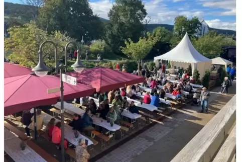 Großer Andrang herrschte beim Salinenfest.