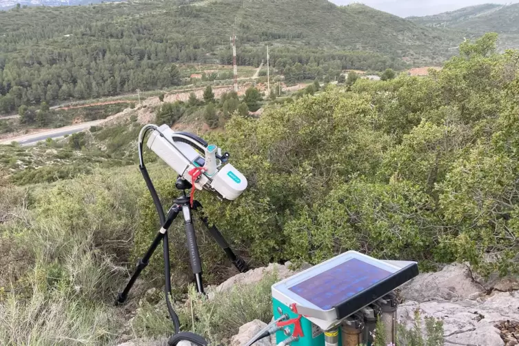 Mithilfe eines mobilen Geräts wurde in Spanien in einem Wald aus Kermeseichen die Fotosynthese gemessen. 