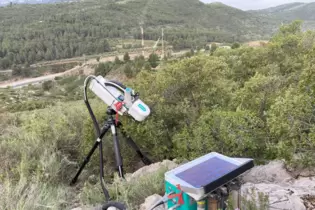 Mithilfe eines mobilen Geräts wurde in Spanien in einem Wald aus Kermeseichen die Fotosynthese gemessen.