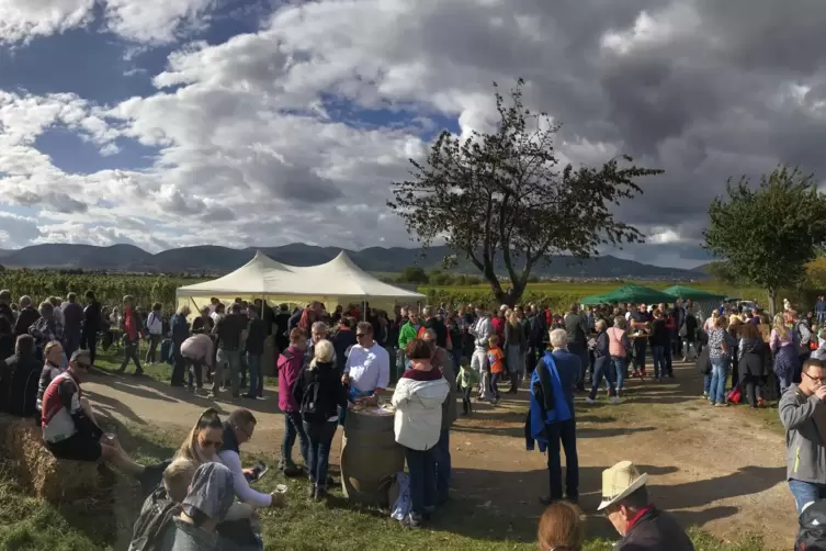 Weinproben vor Reben: Besucher in Kirrweiler.