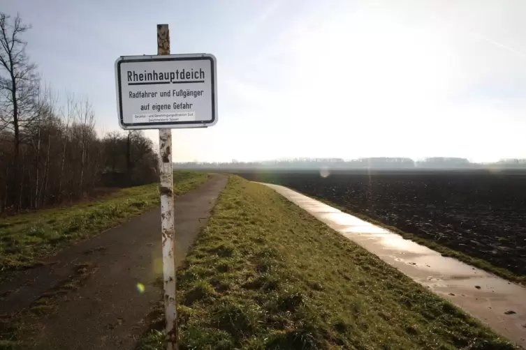 Beschäftigt seit Jahren Gerichte: der Rheinhauptdeich bei Otterstadt. 