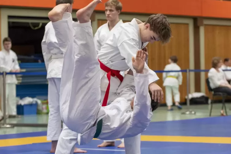 Jiu-Jitsu-Kämpfe auf höchstem Niveau gibt es ab Samstag in Otterbach zu sehen. 