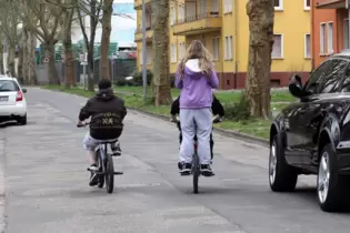 In der Dr.-Ehrensberger-Straße werden die Bäume beschnitten.