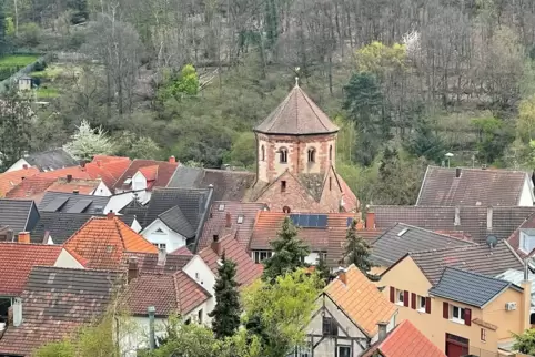  Grünflächen: „Hier in Seebach werden ganze Straßenzüge vernachlässigt“, sagt der Ortsvorsteher.