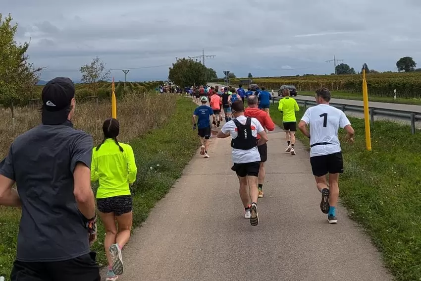 Es geht gen Nußdorf, für Marathon- wie für Halbmarathonläufer.