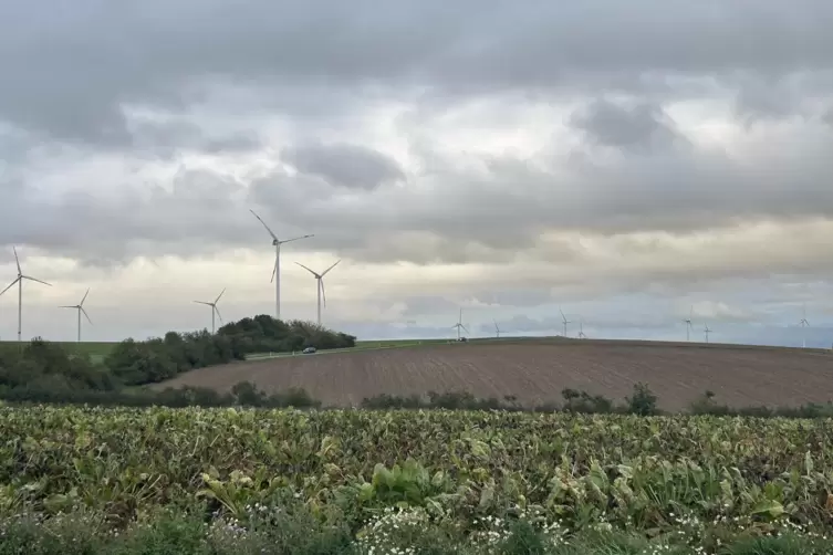 Der Sommer scheint vorbei zu sein – der Donnersbergkreis bietet einen herbstlichen Anblick. 